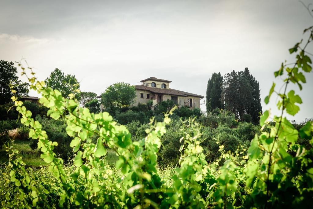Tenuta Pizzogallo Amelia Exterior photo